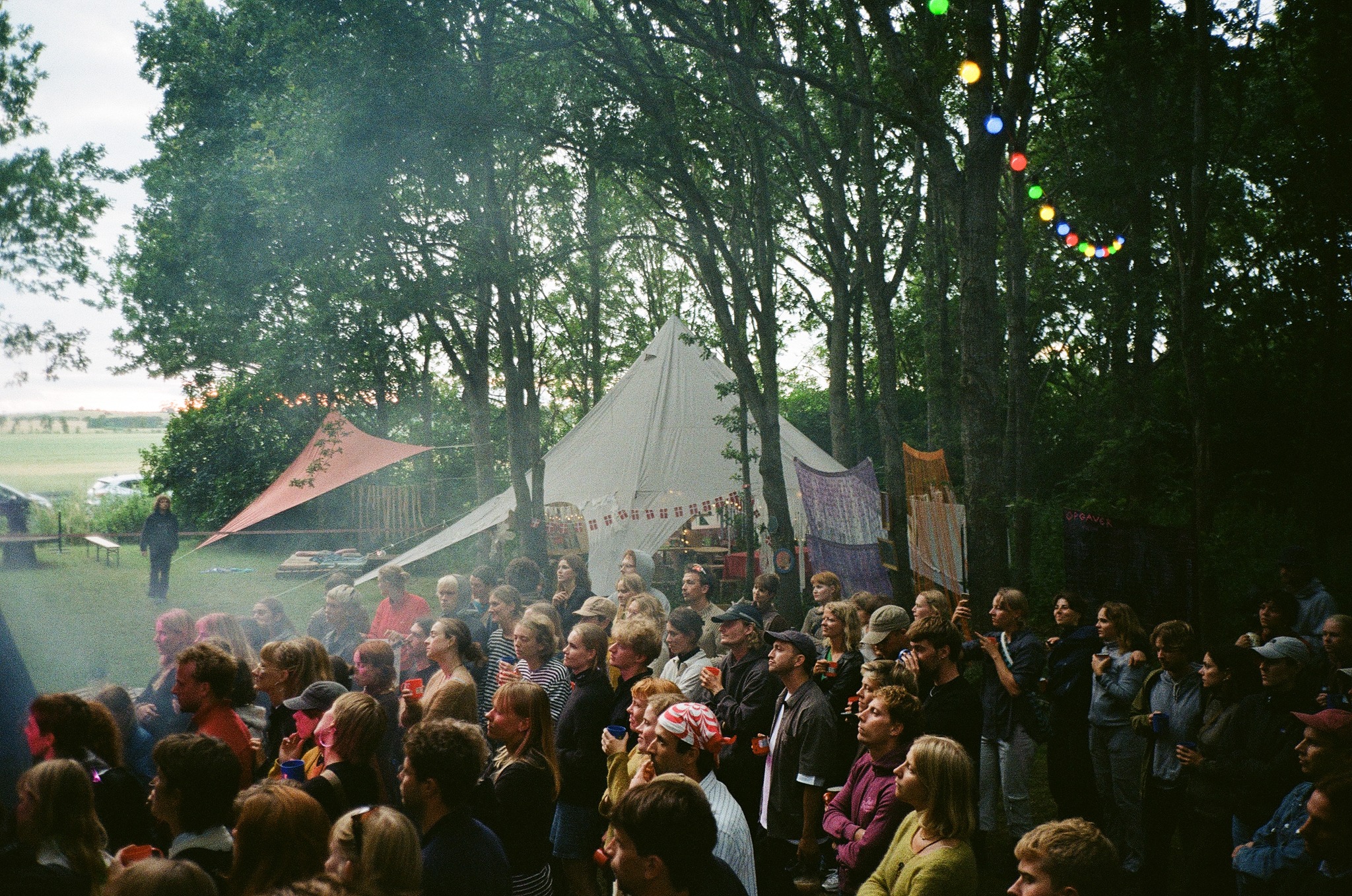 Festivalpublikum under træerne